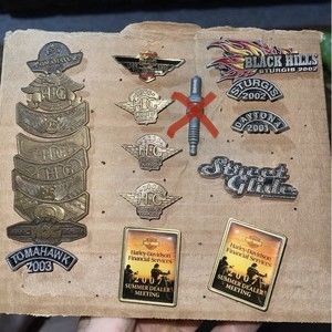 Harley Davidson Pin Lot (19 Pins) - HOG Sturgis Tomahawk Dealer Etc - Bundle Set